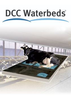SCC Waterbeds